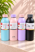 500 ml Stainless Steel Insulated Bottle