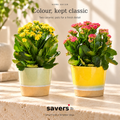 LIVARNO home Vase - Plant Pot