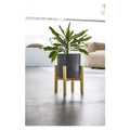 Livarno Home Plant Stand from Saverslb Instagram